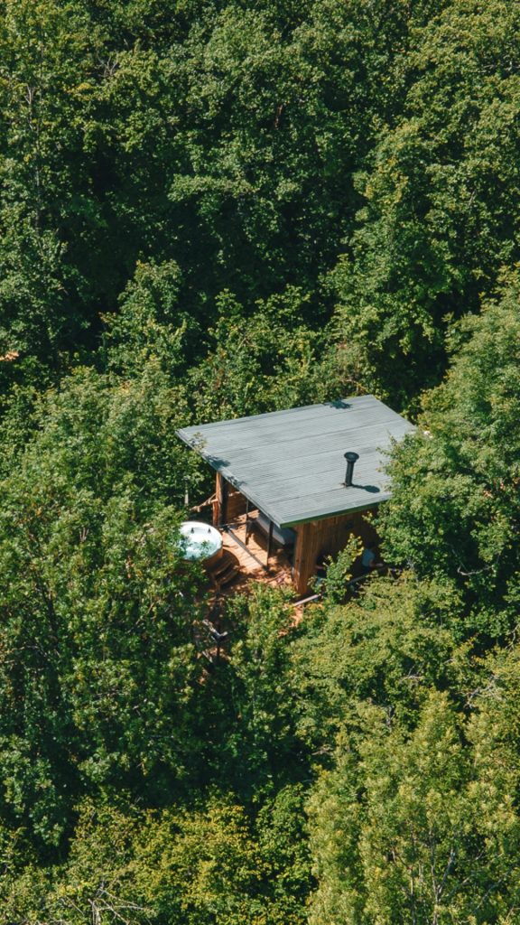 cabane dans les arbres avec chien